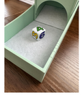 Colorful Dice