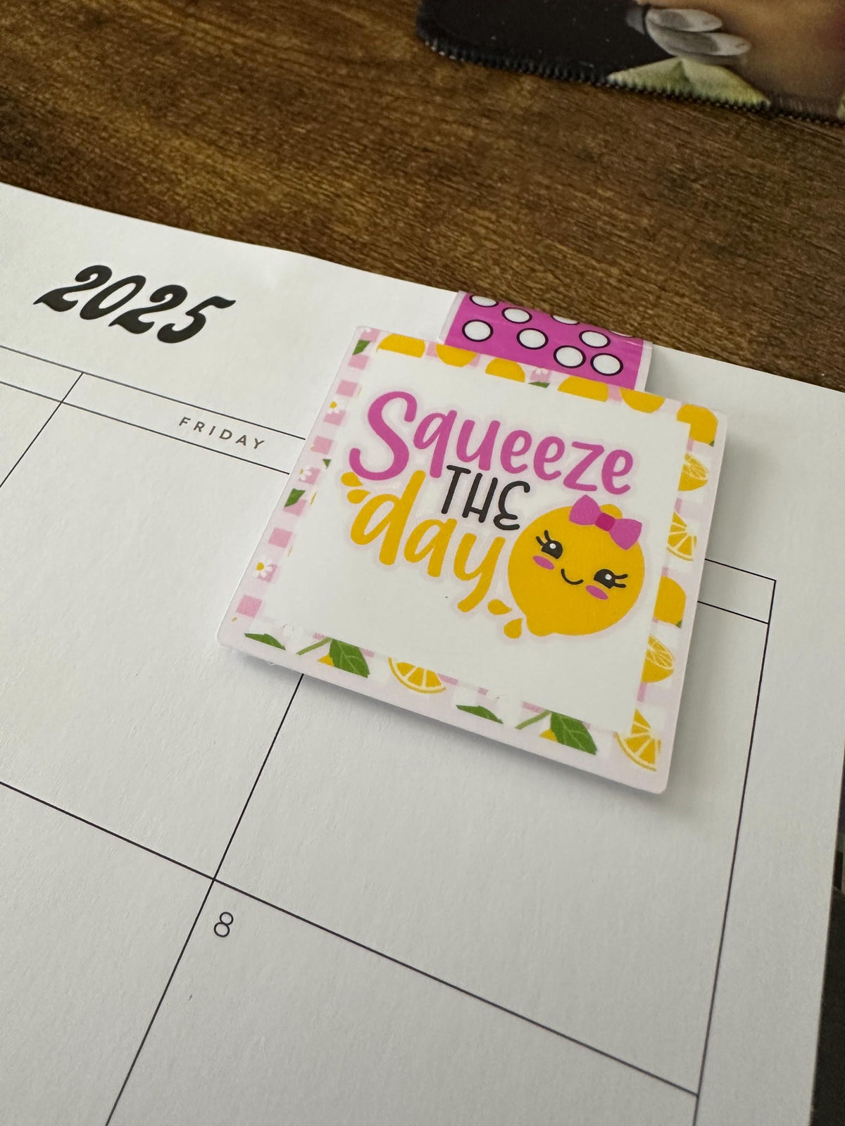 SQUEEZE THE DAY magnetic bookmark