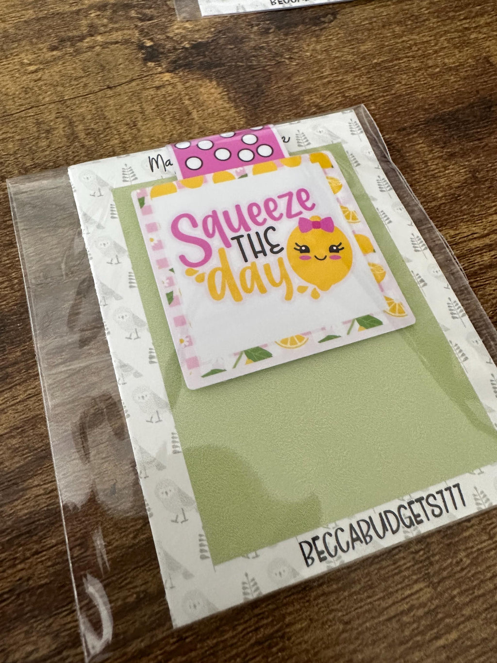 SQUEEZE THE DAY magnetic bookmark
